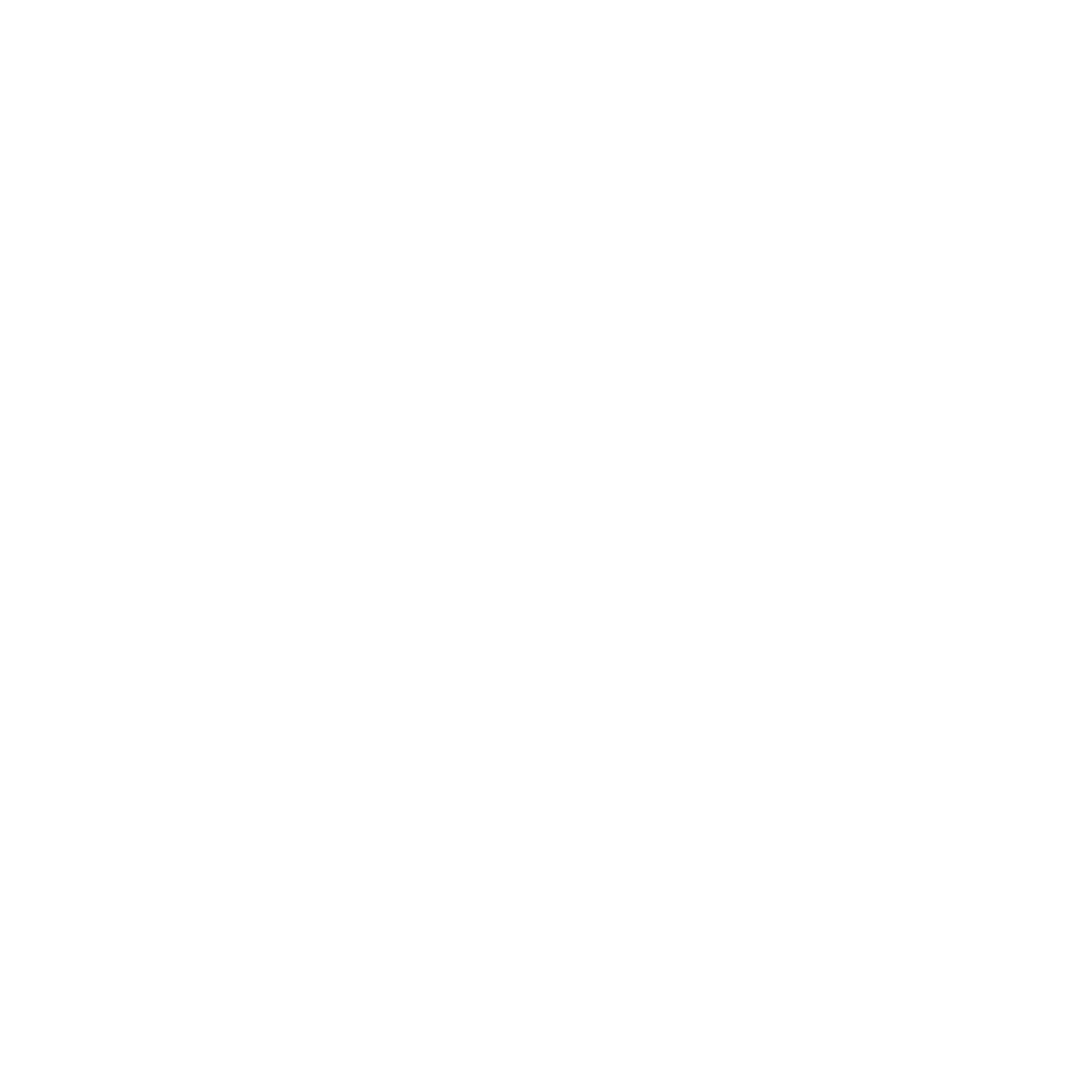 NOE MGMT Logo