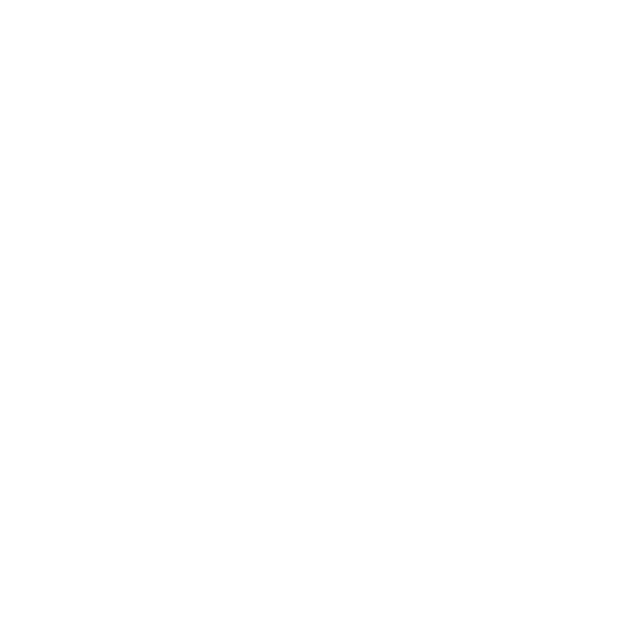 NOE MGMT